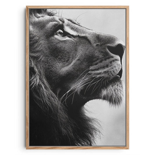 Majestic Gaze – Minimalist Lion Portrait