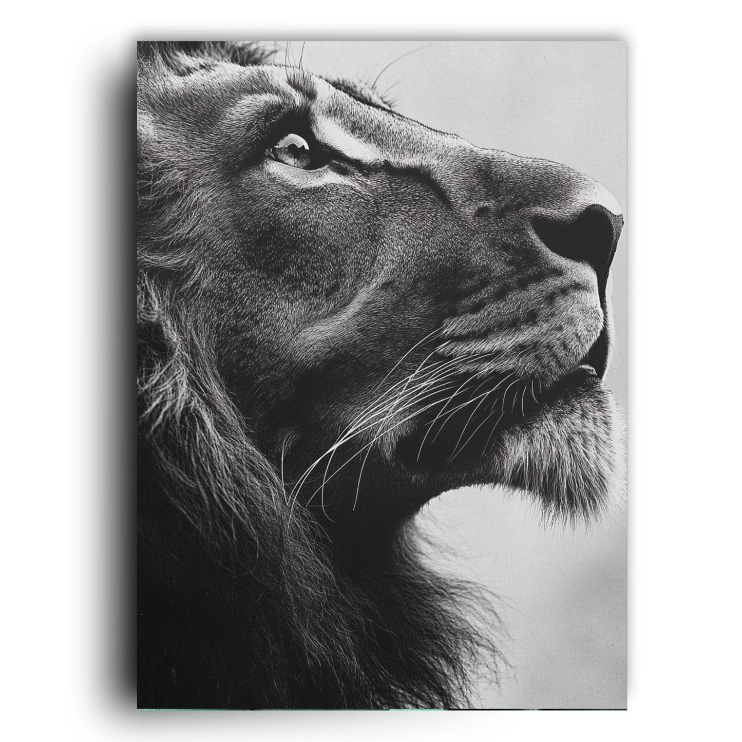 Majestic Gaze – Minimalist Lion Portrait
