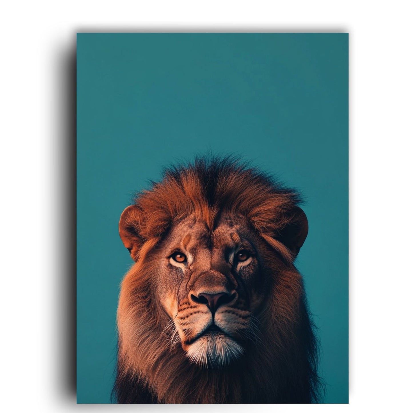 Majestic Gaze – Minimalist Lion Portrait