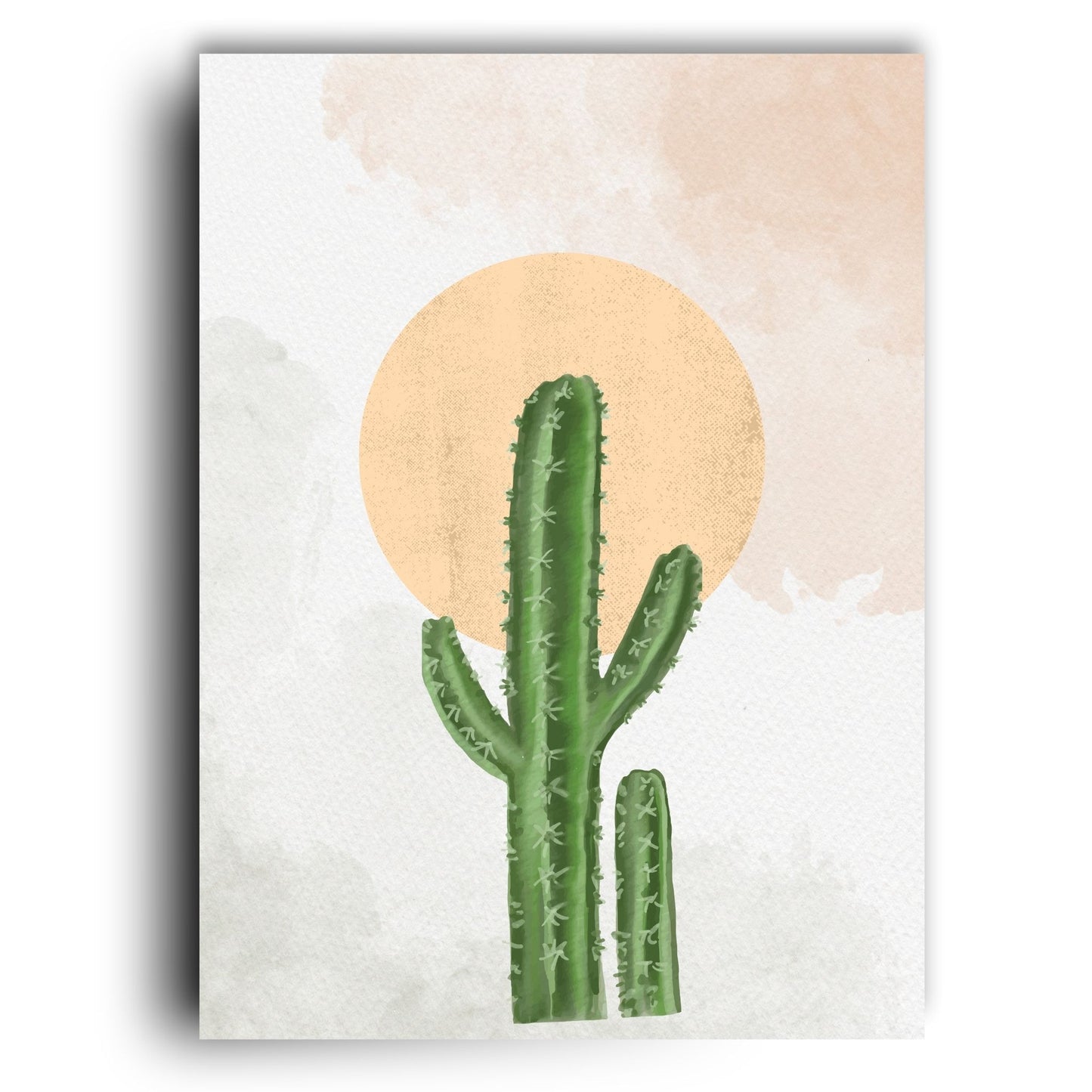 Desert Noon