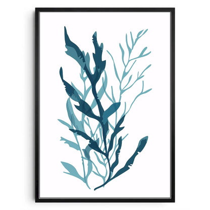 Sea Kelp