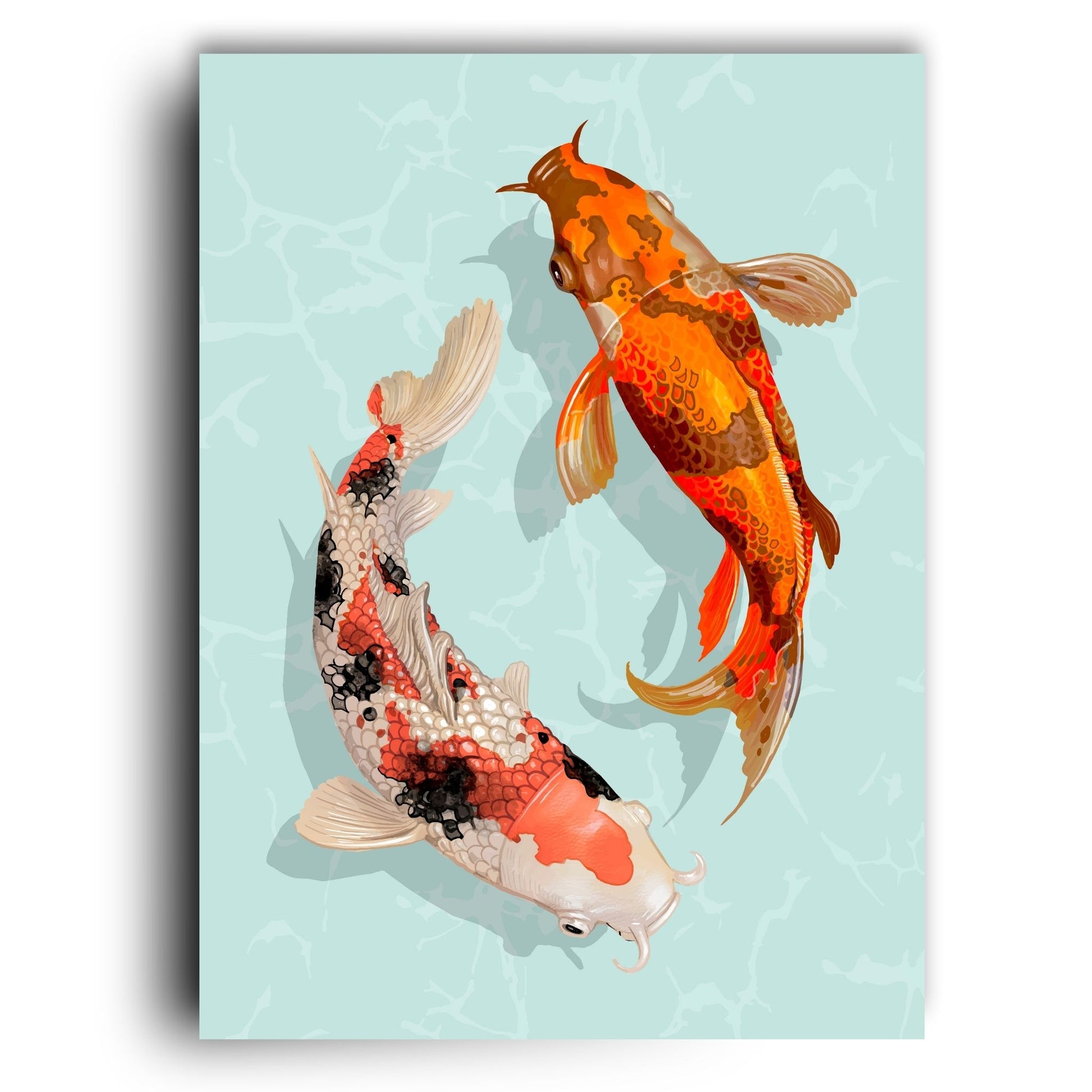 Koi Harmony