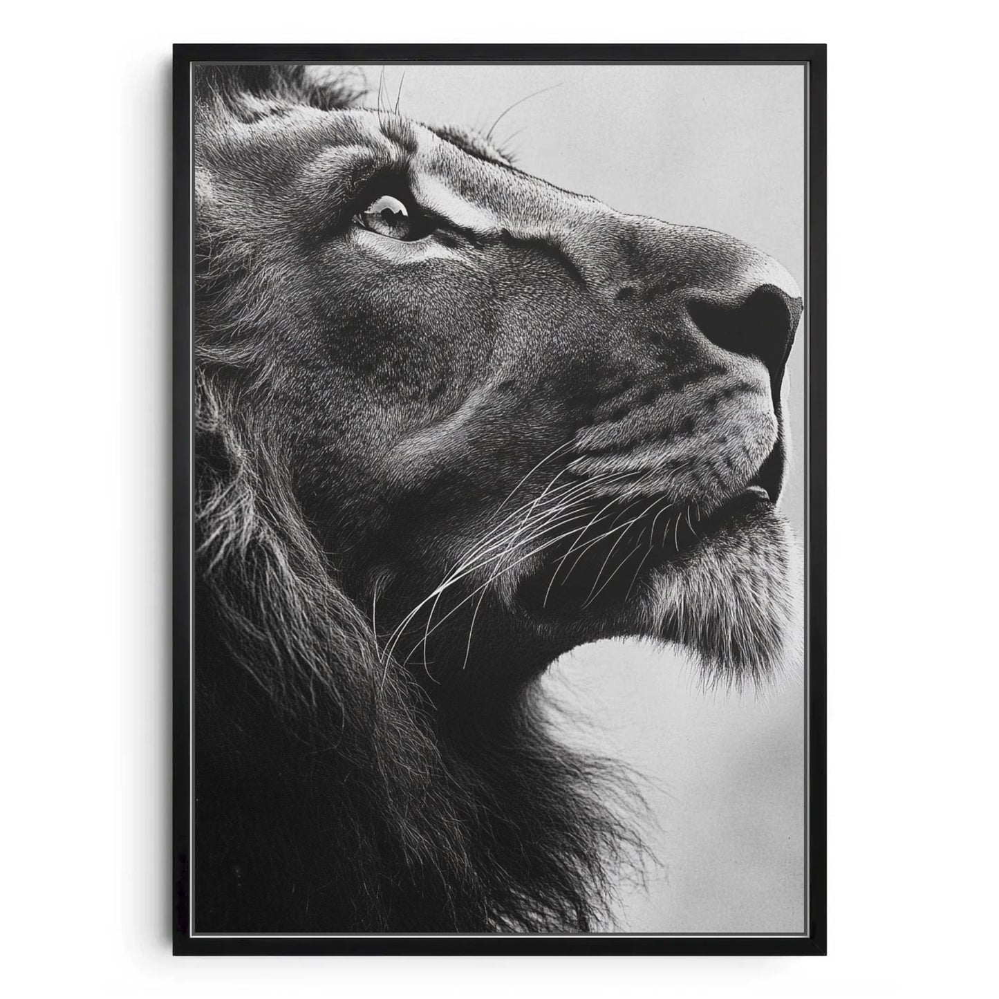 Majestic Gaze – Minimalist Lion Portrait