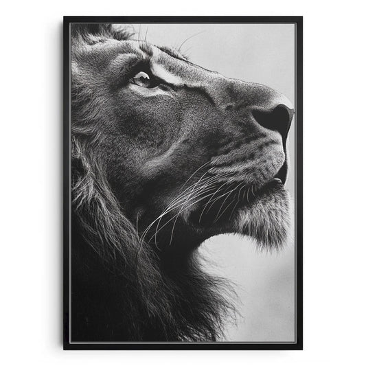 Majestic Gaze – Minimalist Lion Portrait