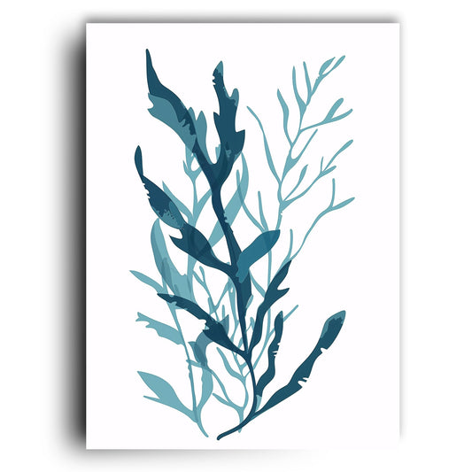 Sea Kelp
