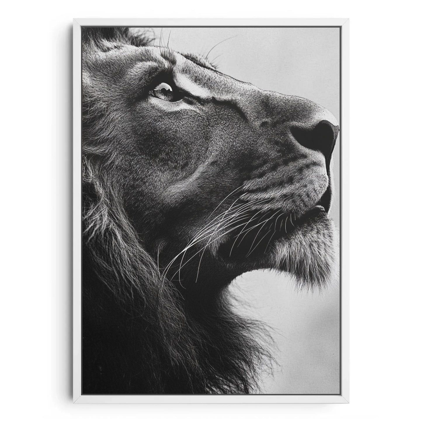 Majestic Gaze – Minimalist Lion Portrait