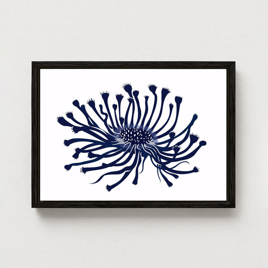 🌑 Deep Blue Bloom