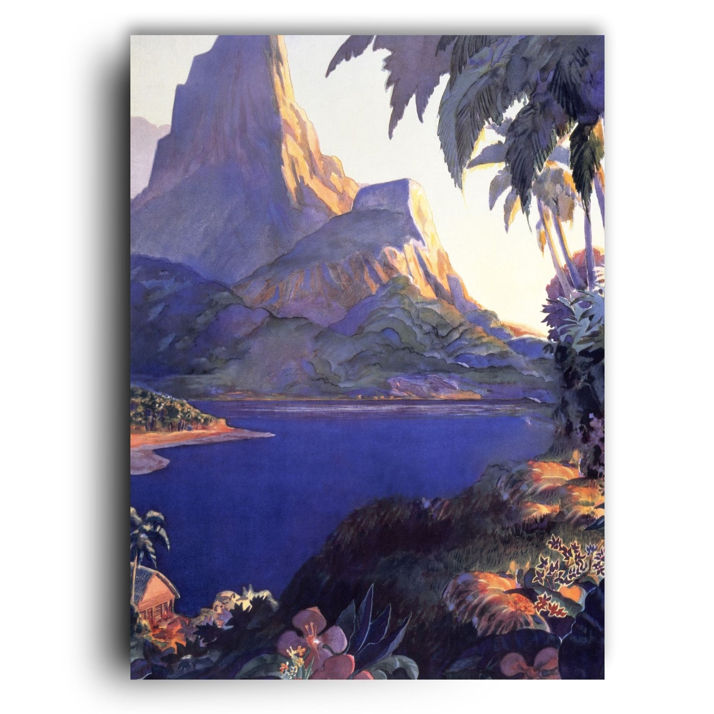 Island Paradise